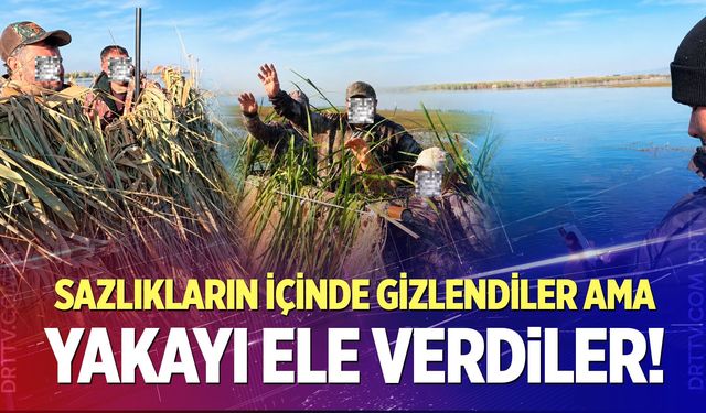 Sazlıkların İçinde Gizlendiler Ama Yakayı Ele Verdiler!