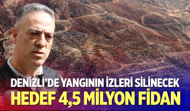 Denizli’de yangının izleri silinecek: Hedef 4,5 milyon fidan