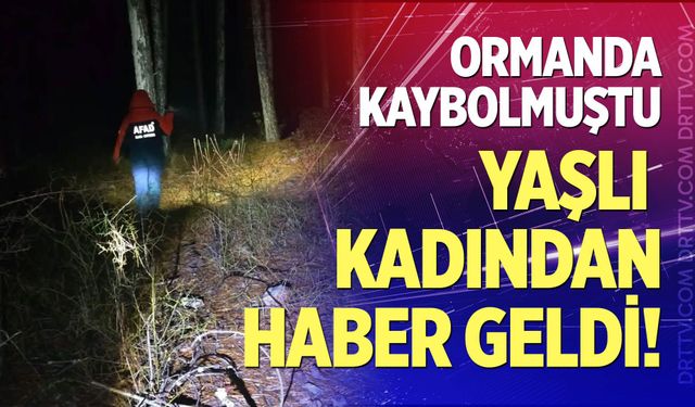 Ormanda kaybolmuştu, yaşlı kadından haber geldi!
