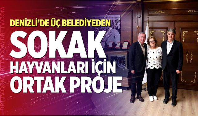 Denizli’de Üç Belediyeden Sokak Hayvanları İçin Ortak Proje