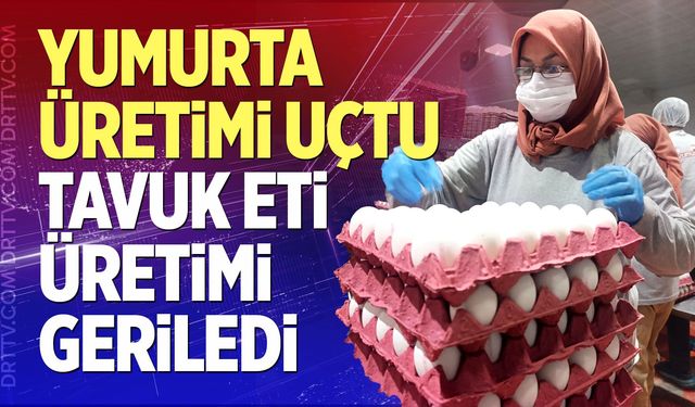 Yumurta Üretimi Uçtu, Tavuk Eti Üretimi Geriledi