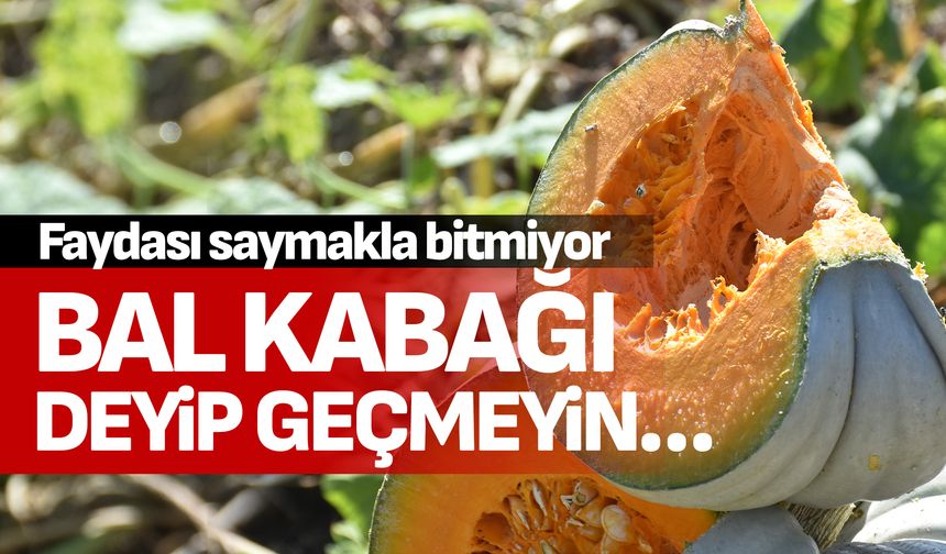 Bal kabağı deyip geçmeyin...Faydası saymakla bitmiyor