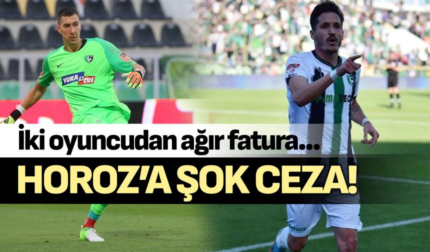 Denizlispor’a iki eski yıldızından şok!