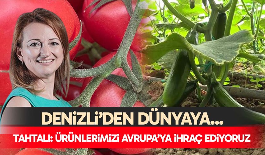Denizli’de yetiştiriliyor, Avrupa’ya ihraç ediliyor