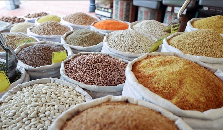 Mart ve nisan yağışları hububata olumlu yansıdı