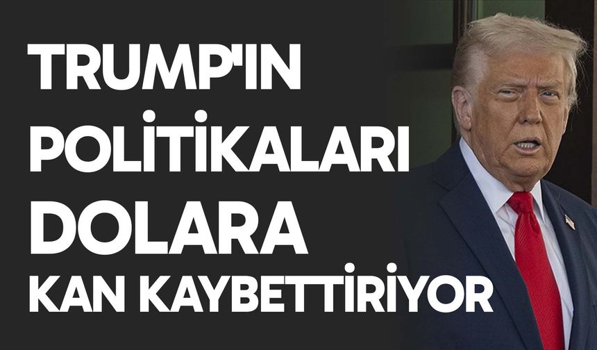 Trump'ın politikaları dolara kan kaybettiriyor