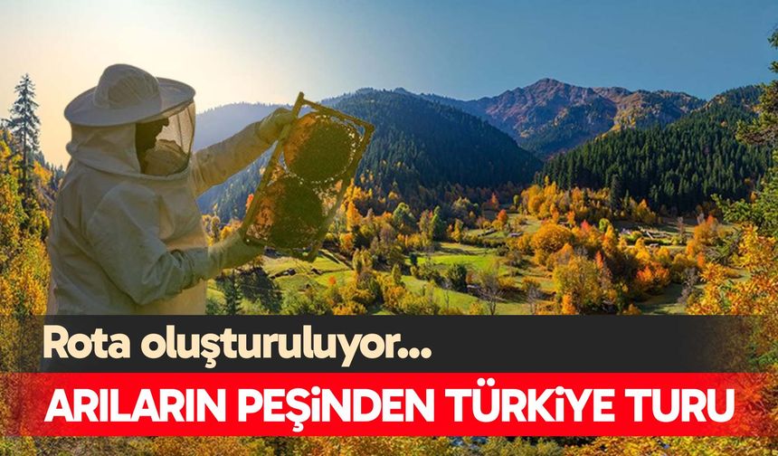 Arıların peşinden Türkiye turu