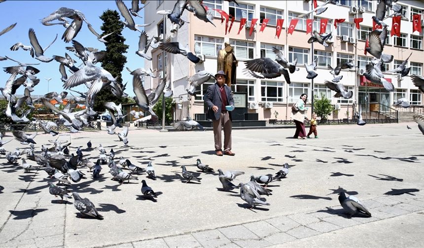 Karadenizli ihtiyar delikanlı, güvercinleri beslemeyi bir gün bile aksatmıyor