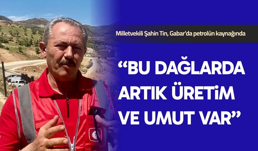 Milletvekili Tin: Bu dağlarda artık üretim ve umut var