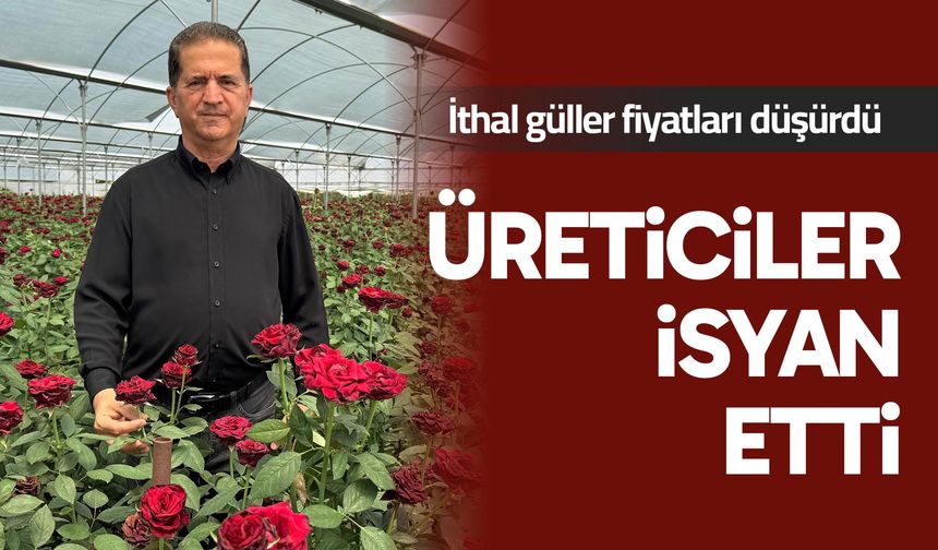 Gül üreticileri, ithal edilen güle ek gümrük vergisi istedi