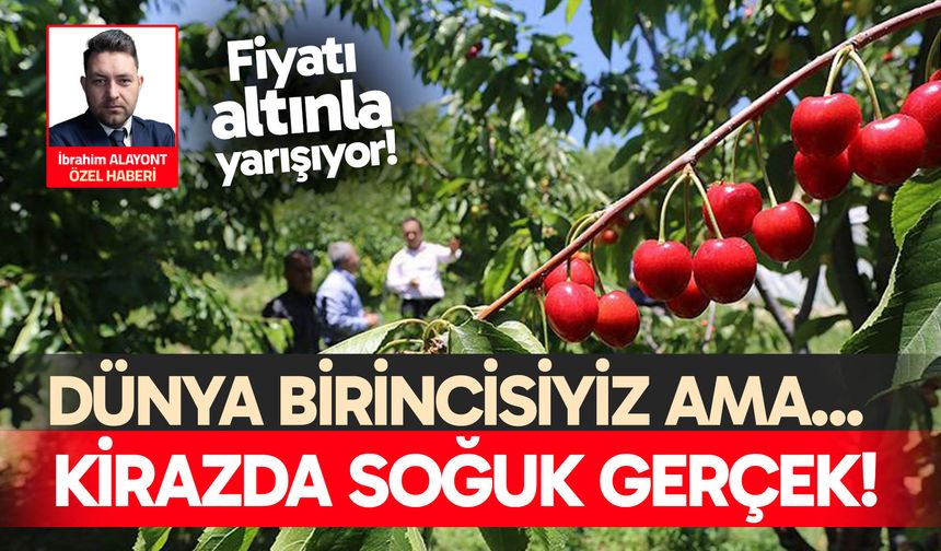 Kirazda soğuk gerçek! Üretimde dünya lideriyiz ama…