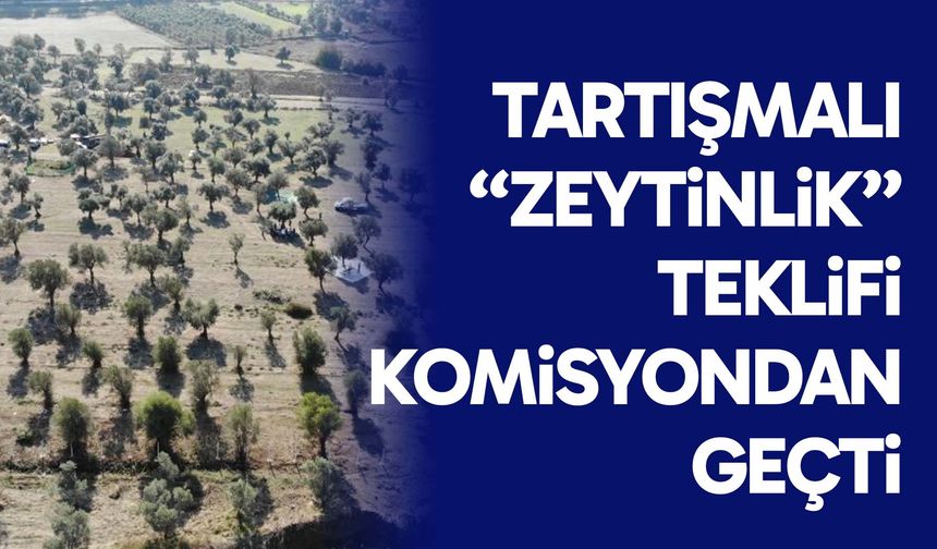 Tartışmalı “zeytinlik” teklifi komisyondan geçti