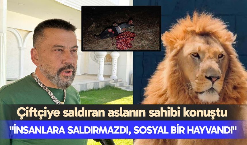 Çiftçiye saldıran aslanın sahibi: "İnsanlara saldırmazdı, sosyal bir hayvandı"