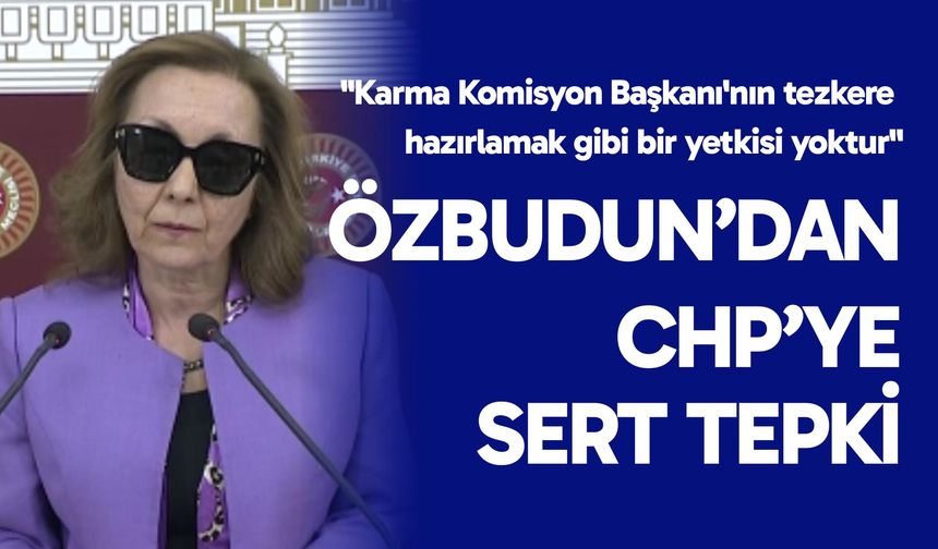 Özbudun: "Karma Komisyon Başkanı'nın tezkere hazırlamak gibi bir yetkisi yoktur"