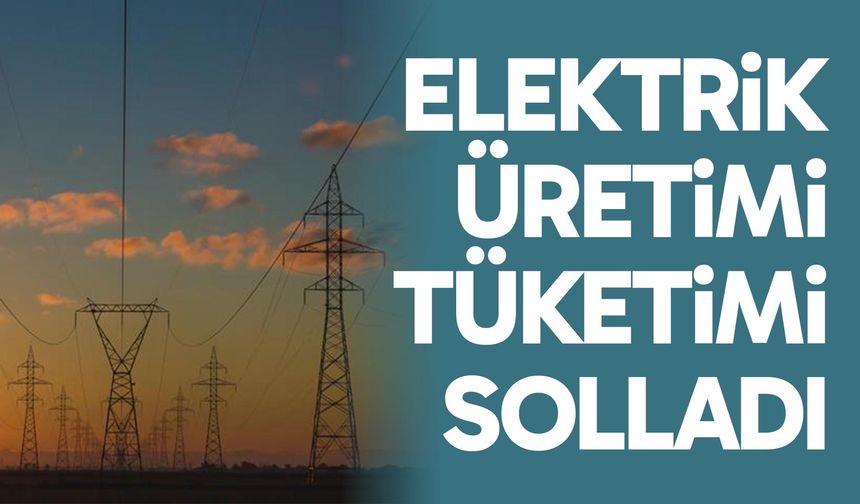 Elektrik üretimi tüketimi solladı
