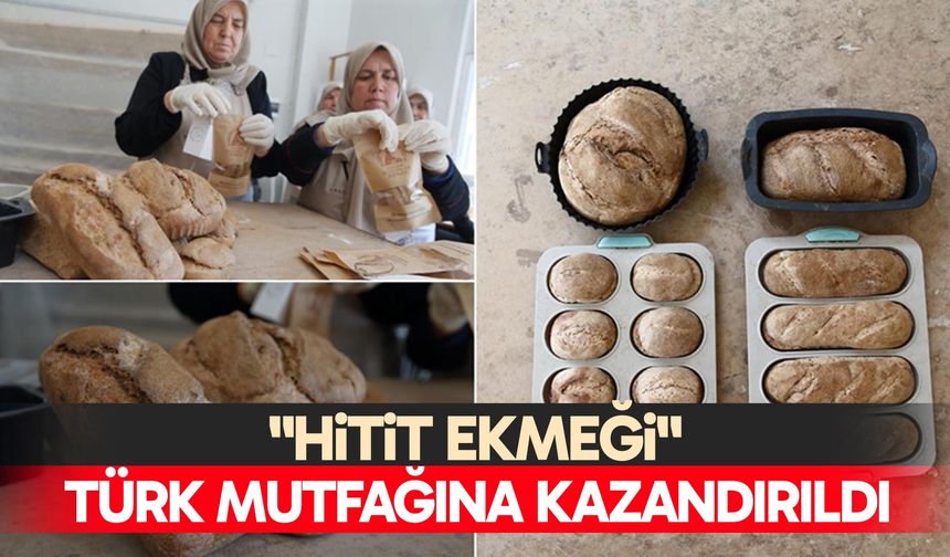 "Hitit ekmeği" Türk mutfağına kazandırıldı