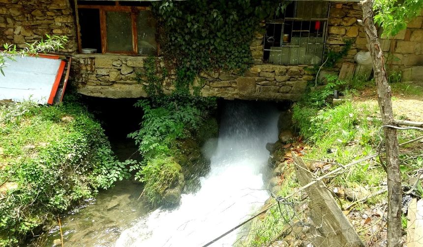 300 yıllık su değirmeni hala çarklarını döndürüyor