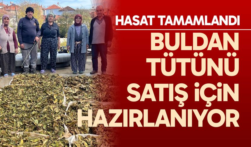 Hasadı tamamlanan tütünler satış için hazırlanıyor