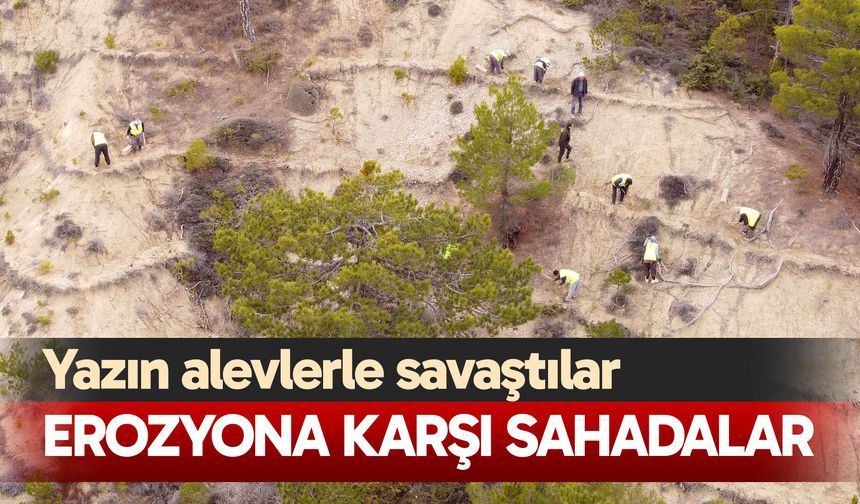 Denizli’de orman işçileri erozyona karşı sahada