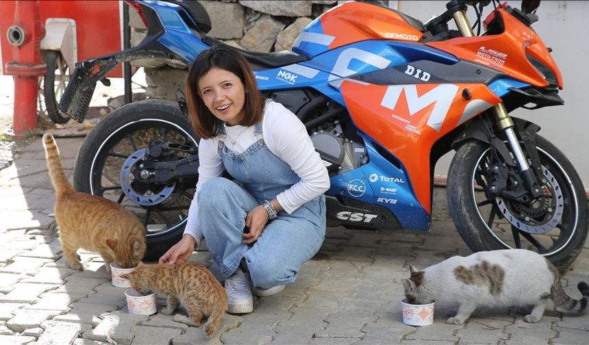 Kazanda pişirdiği etlerle sahipsiz kedileri besliyor