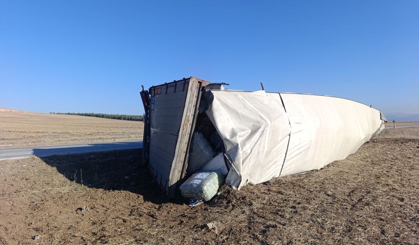 Kalorifer peteği yüklü tır devrildi