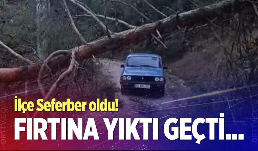 Buldan’da fırtınadan devrilen ağaçlar yolu kapattı