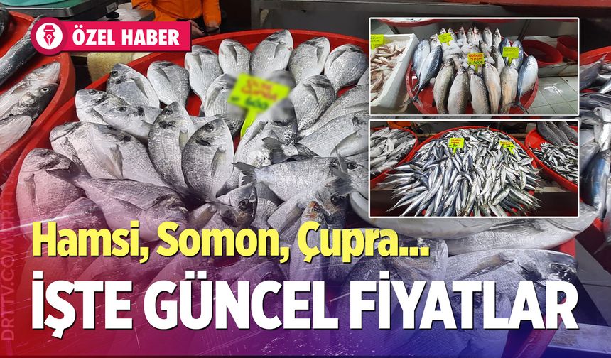 Denizli Balık Fiyatları 2026: Hamsi, Somon, Çupra kaç TL?