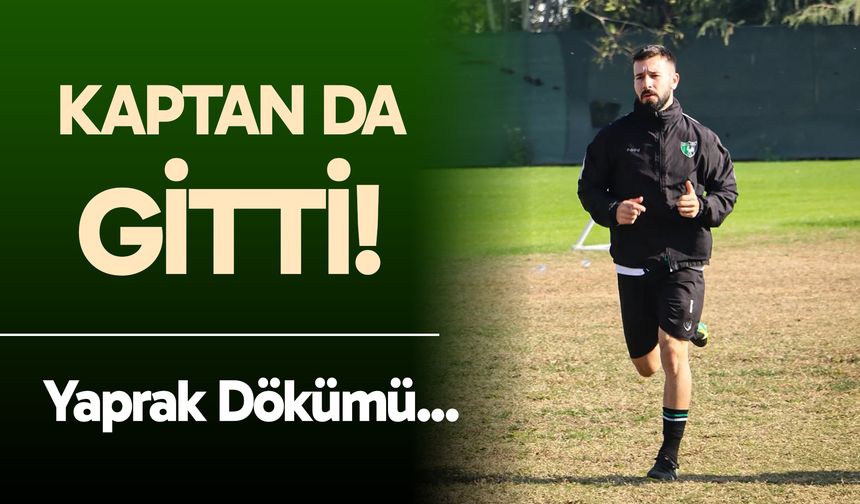 Denizlispor kaptanı Mehmet Ali Ulaman takımdan ayrıldı!