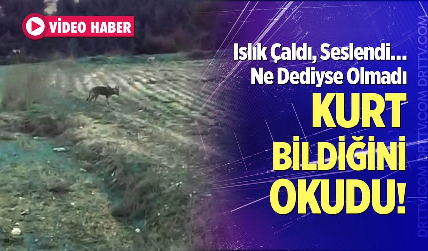 Islık Çaldı, Seslendi… Ne Dediyse Olmadı
