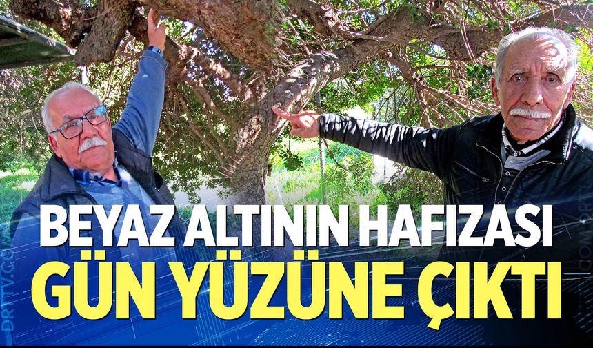 Beyaz altının hafızası gün yüzüne çıktı