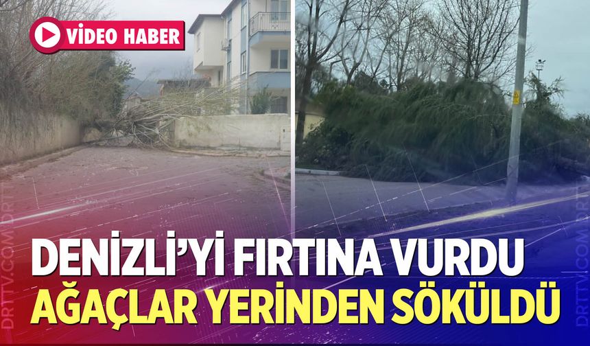 Fırtına ağaçları yerinden söktü