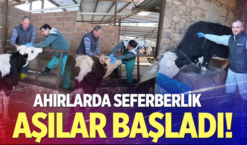 Denizli’de hayvan sağlığı için büyük seferberlik