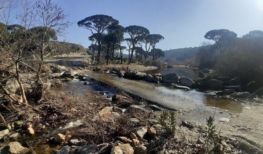 Aydın’ın içme suyunu karşılayacak Sarıçay’da kirlilik alarmı