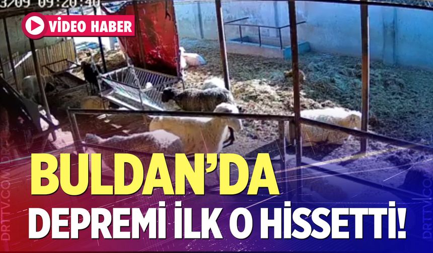 Depremi ilk o hissetti!