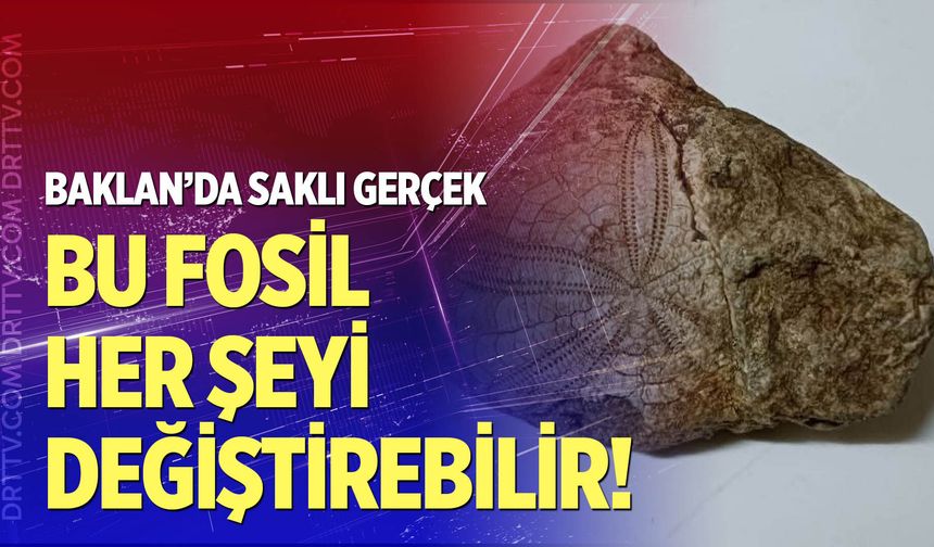 Baklan’da milyonlarca yıllık deniz yıldızı fosili bulundu