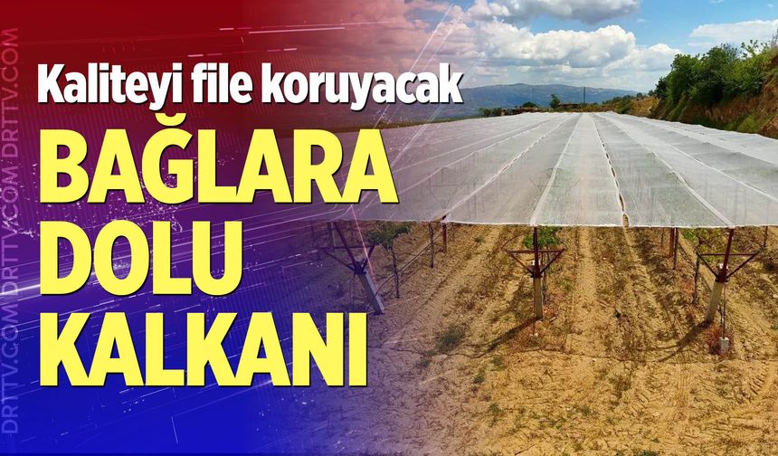 Bağlara dolu kalkanı