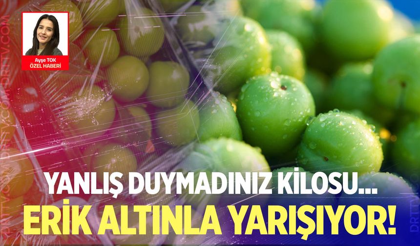 Denizli’de erik fiyatları cep yakıyor