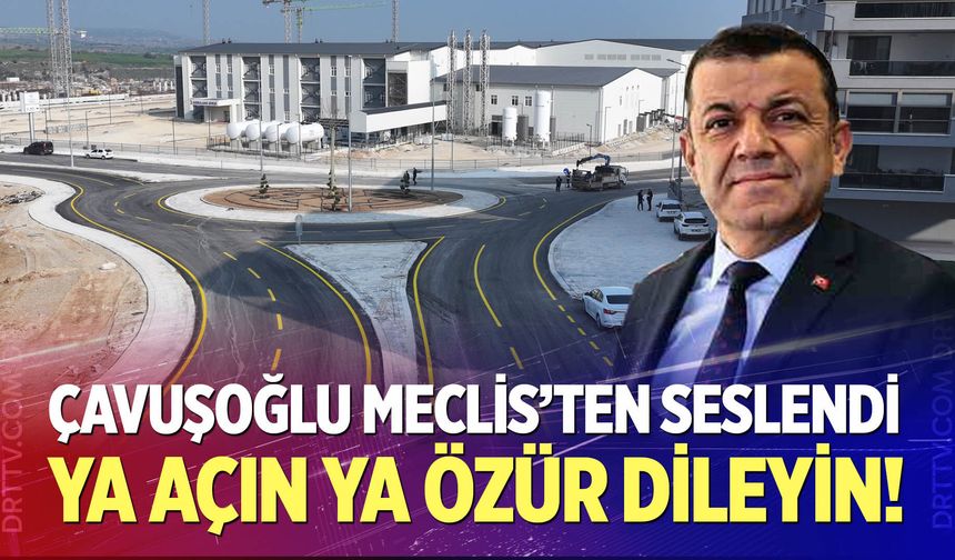 Çavuşoğlu Meclis'ten seslendi
