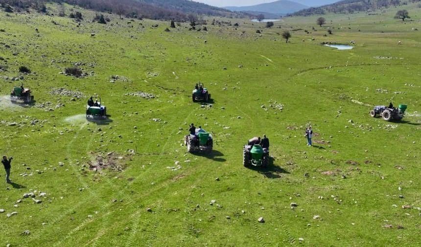 Manisa’da meralara 8,5 tonluk bereket