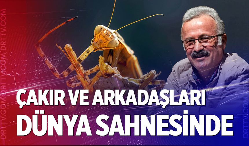 Mehmet Çakır ve TFSF’den büyük zafer: FIAP Mansiyon Ödülü