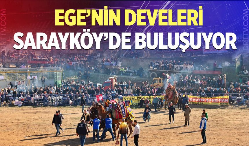 Ege’nin develeri Sarayköy’de buluşuyor