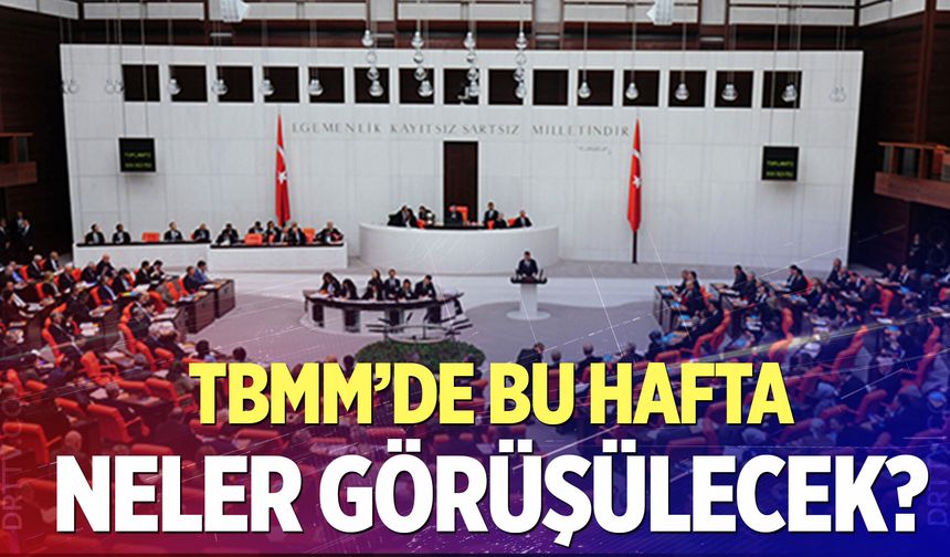 TBMM'de neler görüşülecek? İşte ayrıntılar...