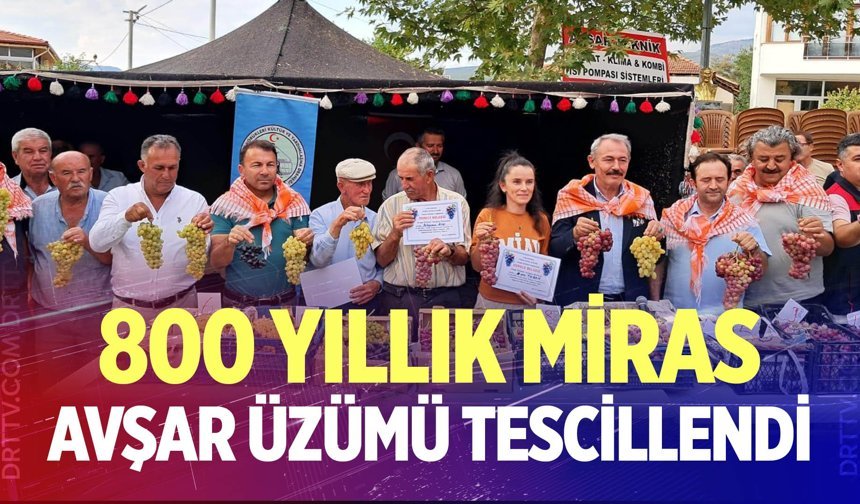 Avşar Üzümü’ne coğrafi işaret: 800 yıllık miras tescillendi