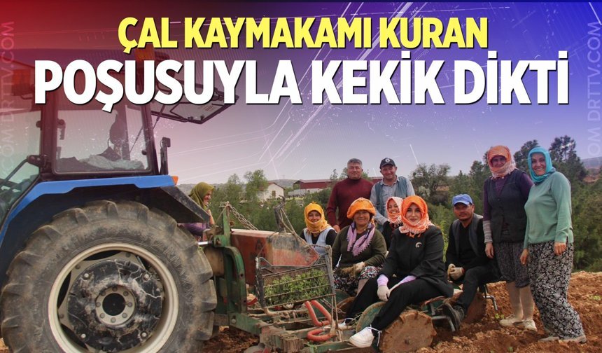 Poşusunu takan Kaymakam Kuran kekik dikti