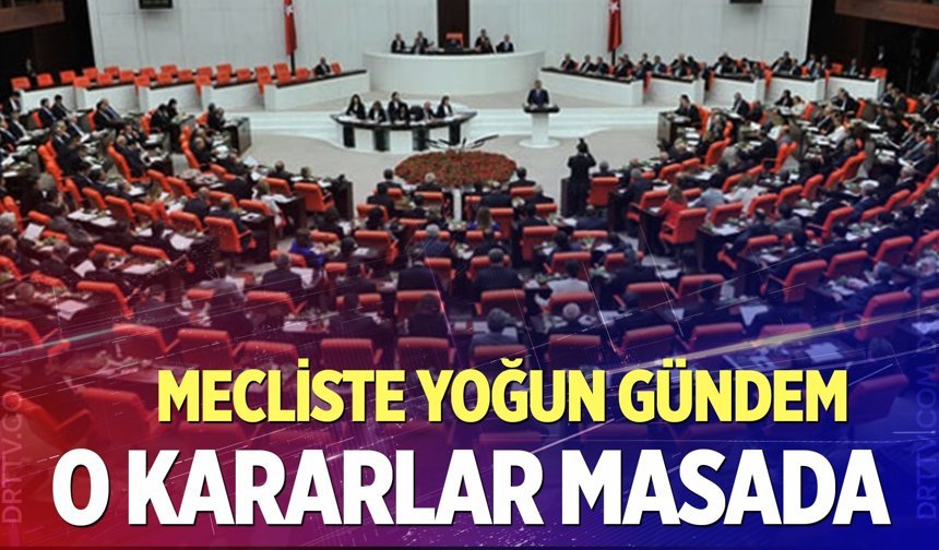 Meclis'te yoğun gündem: Doğum izni ve sosyal medya kısıtlaması masada