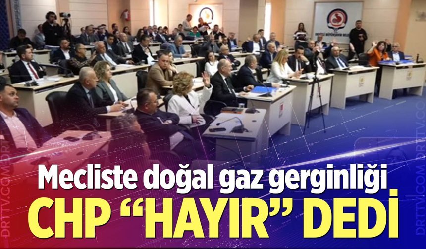 Mecliste doğal gaz gerginliği