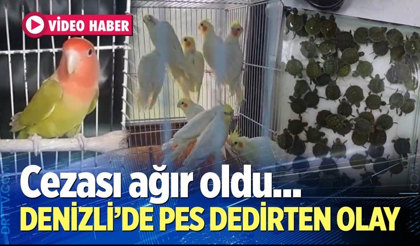 Denizli'de pes dedirten olay