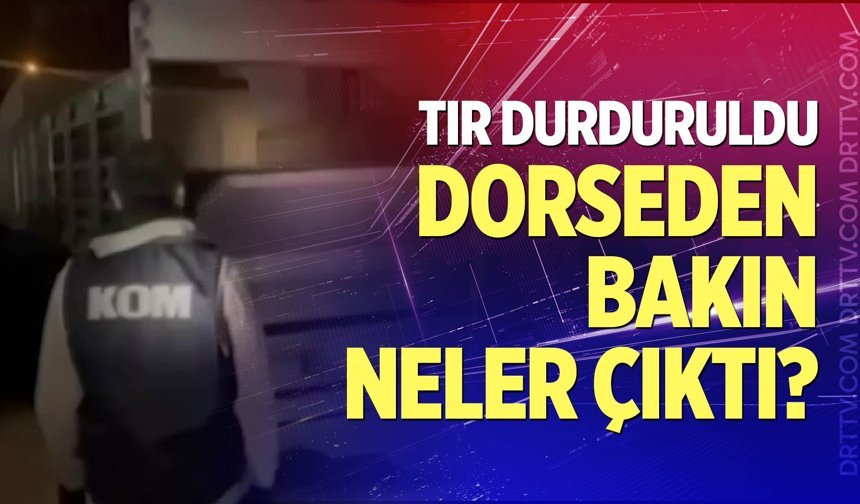 Denizli’de durdurulan tırın dorsesinden bakın neler çıktı?