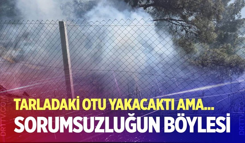 Tarlasındaki otları temizlerken ormanlık alanı yaktı