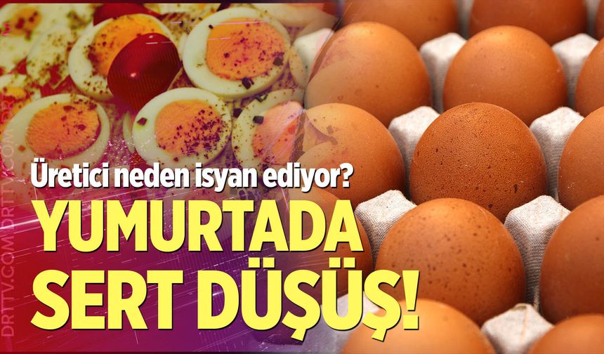 Yumurtada sert düşüş!